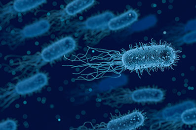 Zagotovljeno število dobrih bakterij