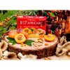B17 Apricarc Terezia - sestavine