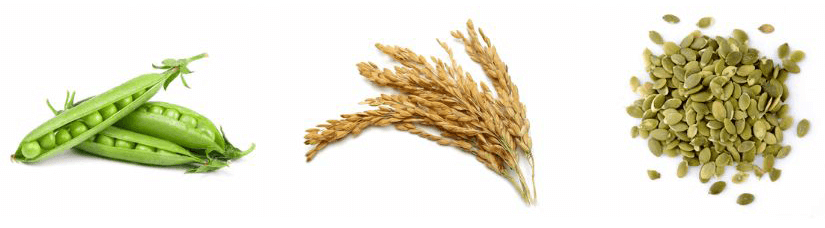 Sunwarrior Active line proteini sestavine 1