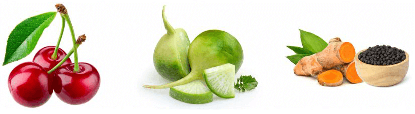 Sunwarrior Active line proteini sestavine 2