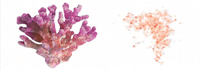 Sunwarrior Active line proteini sestavine 3