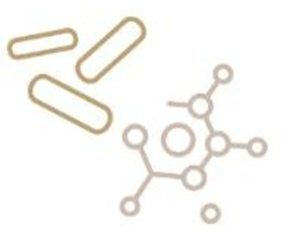 Sunwarrior Active line proteini sestavine 4