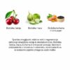 Sunwarrior Active rastlinski proteini z okusom čokolade - sestavine 2