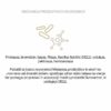 Sunwarrior Active rastlinski proteini z okusom čokolade - sestavine 4