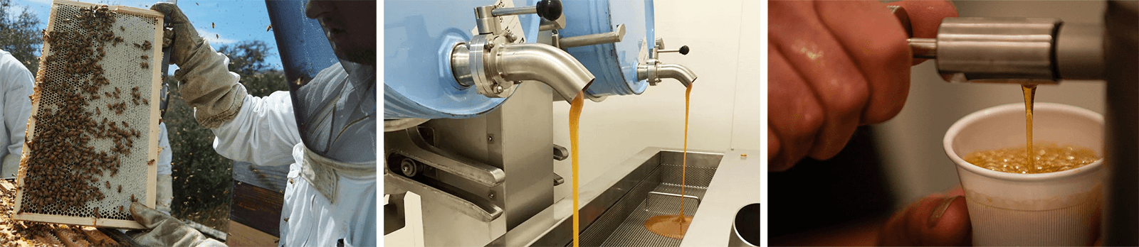 Wedderspoon manuka med sledljivost do čebelarja