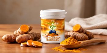 NatureVibe LongVida® Optimiziran kurkumin: absorpcija, klinične raziskave in prednosti